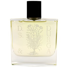 Osmanthus