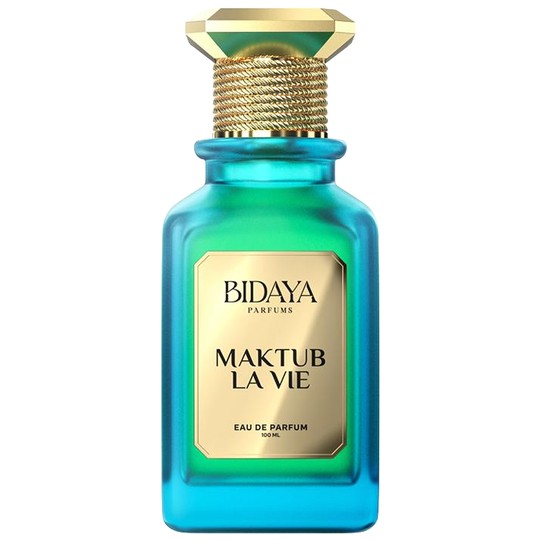 Bidaya Parfums Perfumes E Colônias