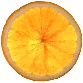 perfume Chocolate Soldier