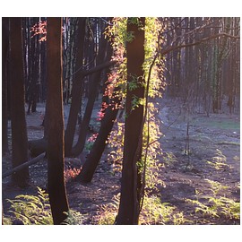 perfume The Gamekeeper