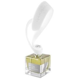 perfume Когда цветёт папоротник