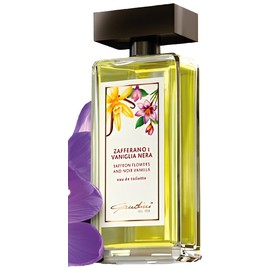 perfume Zafferano e Vaniglia Nera
