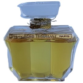 perfume Echo Troublant