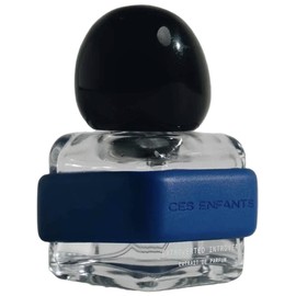 perfume Extroverted Introvert