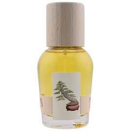 perfume The Idea of You