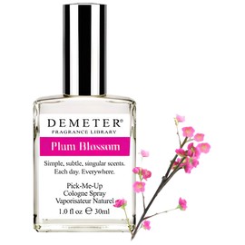 Plum Blossom