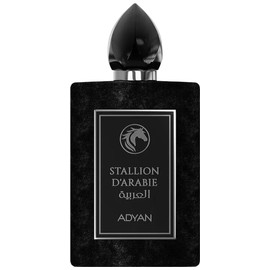 perfume Stallion D'Arabie