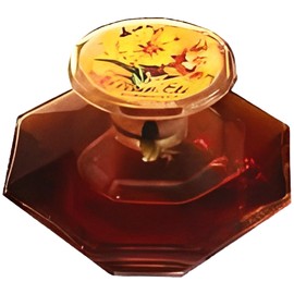 perfume Plein Eté