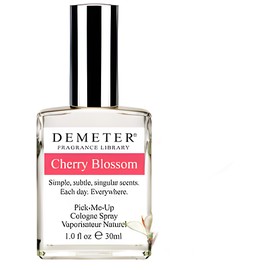 Cherry Blossom