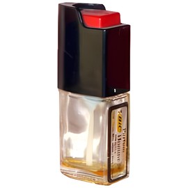 Bic Homme