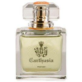 perfume Terra Mia Profumo