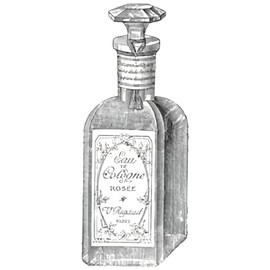 perfume Eau de Cologne Rosée