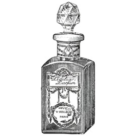 perfume Lidilia