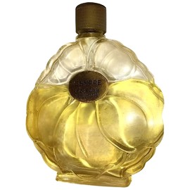 perfume Chypre