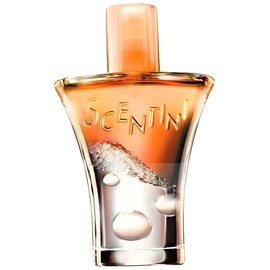 Scentini Citrus Chill