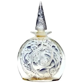 perfume Iris Neige