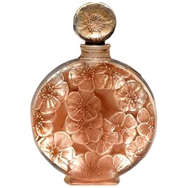 perfume Chypre Ambre
