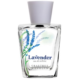perfume Lavender