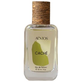 perfume Caché 枝节光