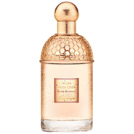 perfume Aqua Allegoria Rosa Blanca
