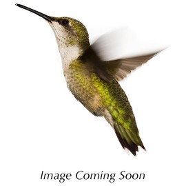 perfume Hot Tension Electric Water