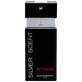 perfume Silver Scent Intense
