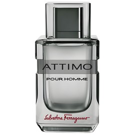 perfume Attimo Pour Homme