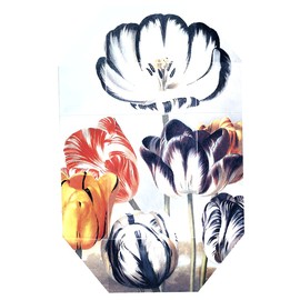 Print Collection Stella 02 (2011)