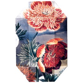 Print Collection Stella 03 (2011)