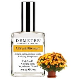 Chrysanthemum