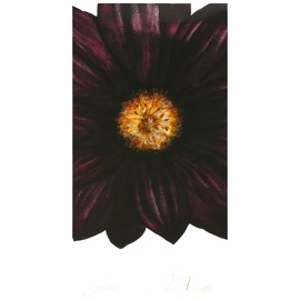 perfume Jasmine Musc