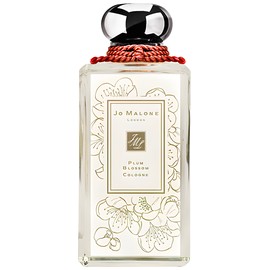 Plum Blossom