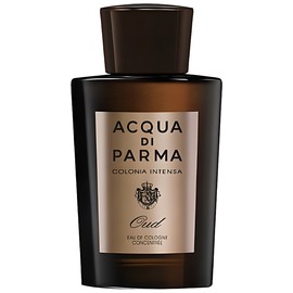 Colonia Intensa Oud Eau de Cologne Concentree