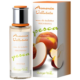 perfume Armonia Vellutata