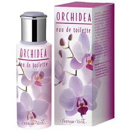 perfume Orchidea