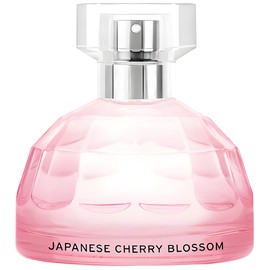 Japanese Cherry Blossom
