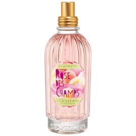Rose des Champs