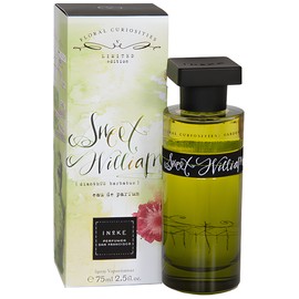 Sweet William