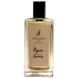 perfume Alguien Sueña