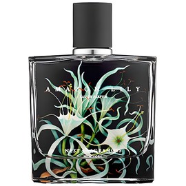 Amazon Lily