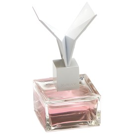 perfume Plastique
