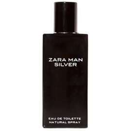 Zara Man Silver