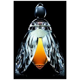 perfume Reve de Lune