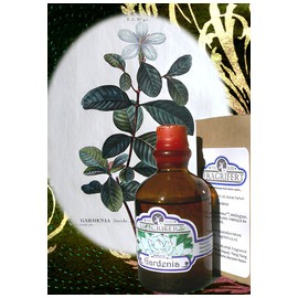 Gardenia
