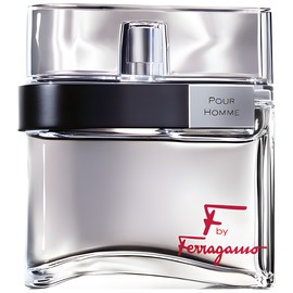 F by Ferragamo Pour Homme