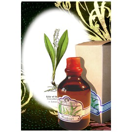Muguet
