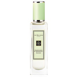Elderflower & Gooseberry