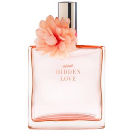 Hidden Love