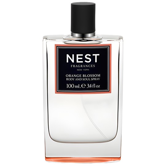 Nest Perfumes And Colognes