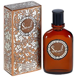 perfume Curve Soul for Men